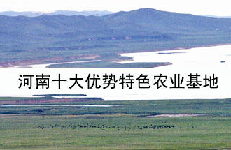 8月19日，河南省政府發(fā)布了關(guān)于深入推進農(nóng)業(yè)供給側(cè)結(jié)構(gòu)性改革 大力發(fā)展優(yōu)勢特色農(nóng)業(yè)的意見