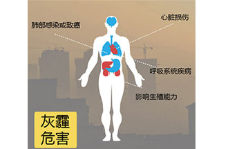 空氣中PM2.5 是由什么物質(zhì)組成的？