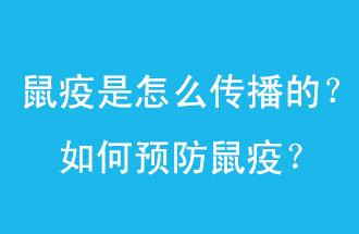 鼠疫是怎么傳播的？如何預(yù)防鼠疫？